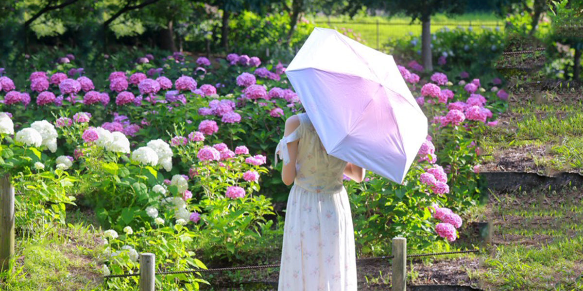 夏の紫外線対策に!日傘と帽子、どっちが効果的?